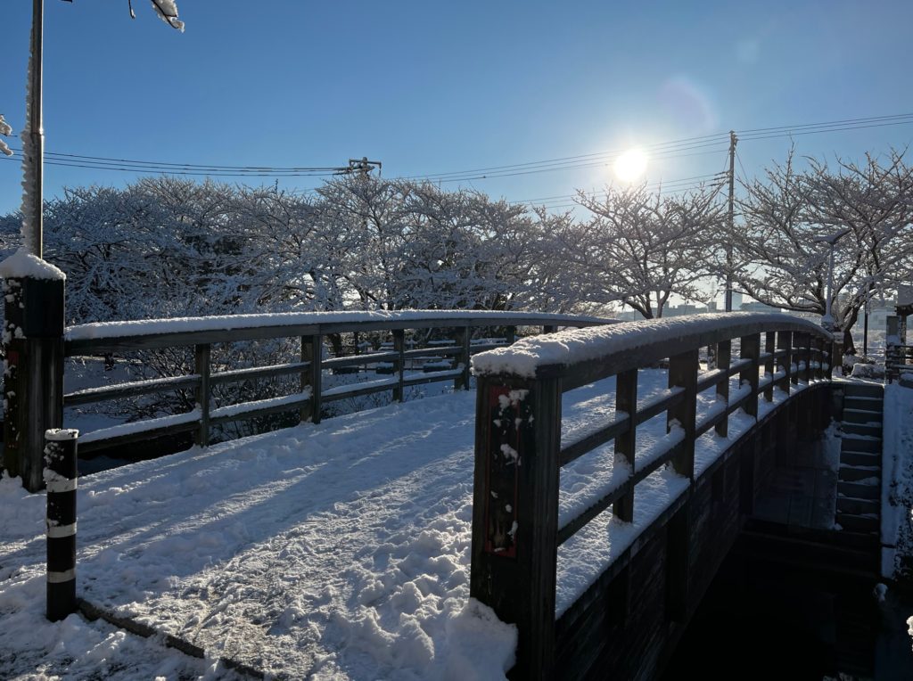 ４年ぶりの大雪【スタッフブログ　設計：上林】