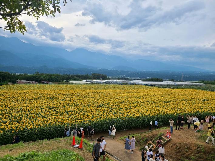 サマー・ヴァ⤵ケィ⤴ション【スタッフブログ　設計：中島】