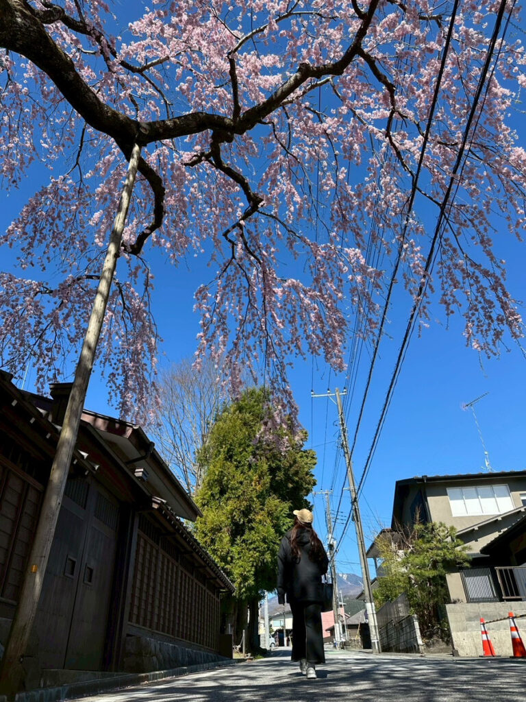 お知らせ記事のサムネイル