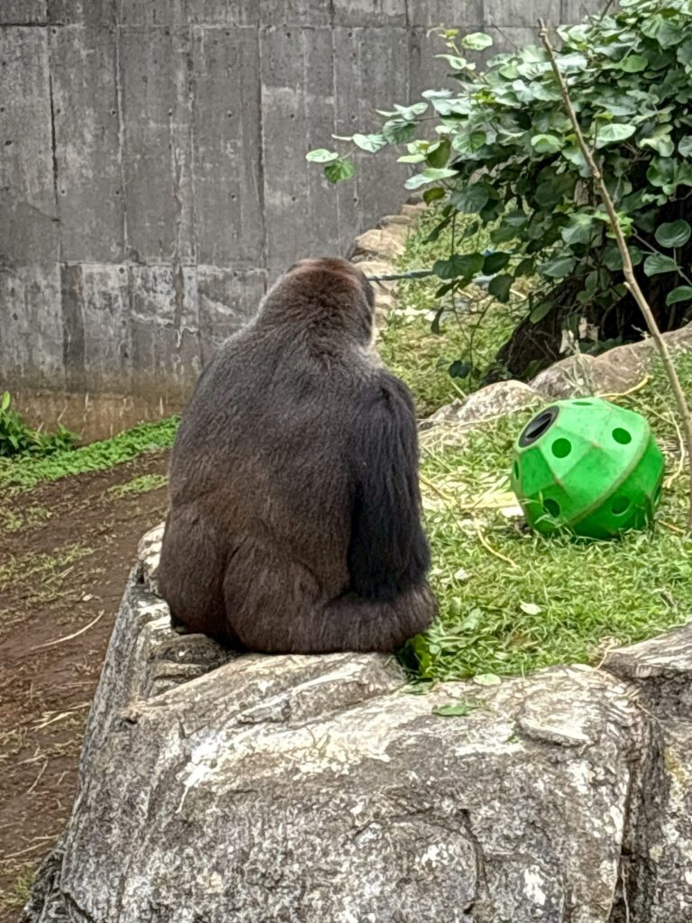 お知らせ記事のサムネイル