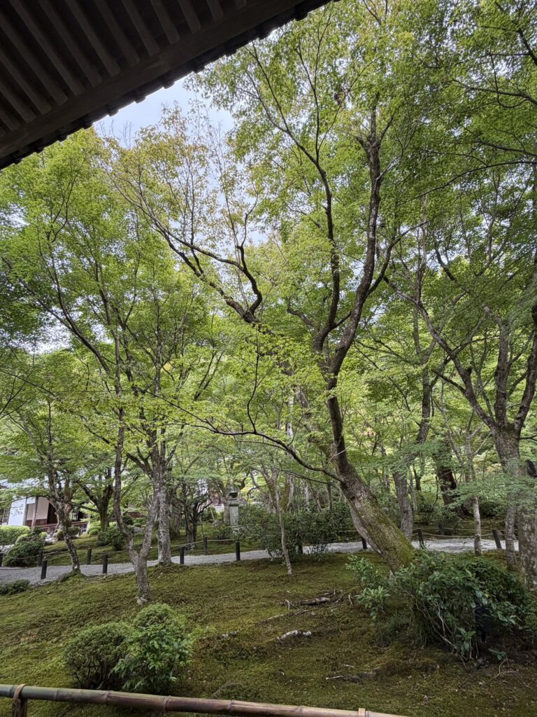 台風の中の京都さんぽ｜StaffBlog　工事 西村